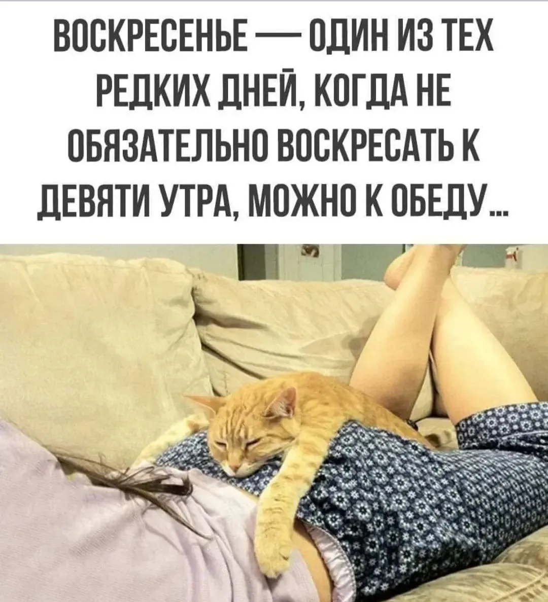 IMG_20240901_150721.webp