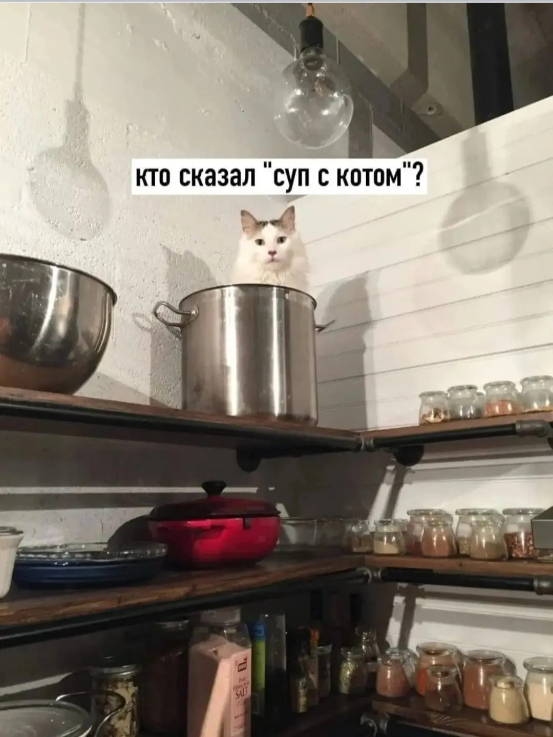 IMG_20240901_150922.webp