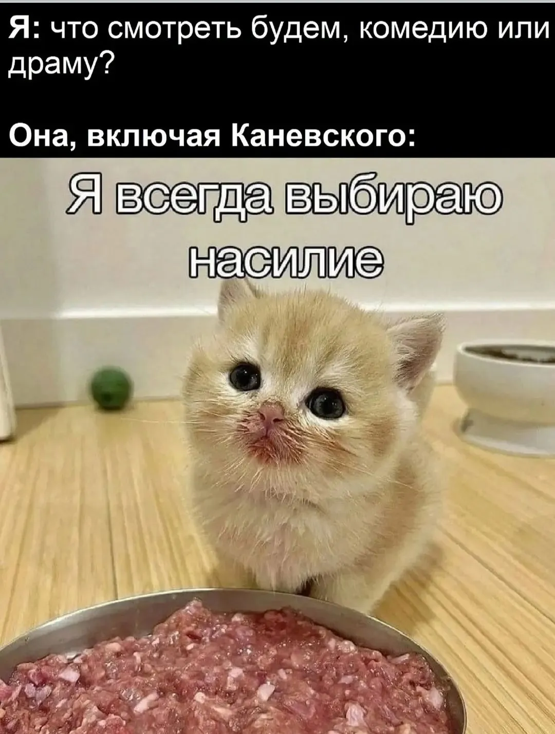 IMG_20240902_203621.webp