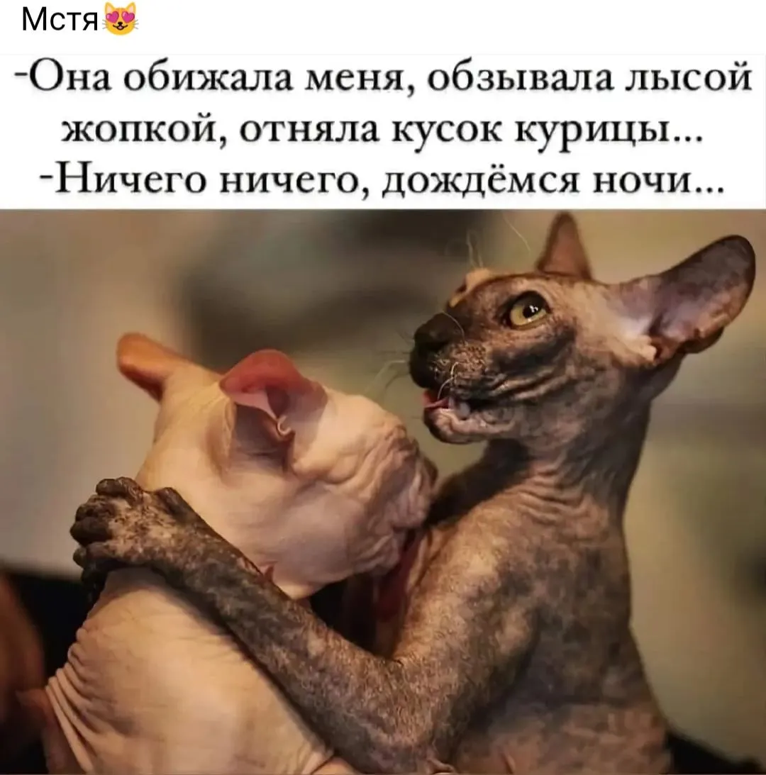 IMG_20240904_110154.webp