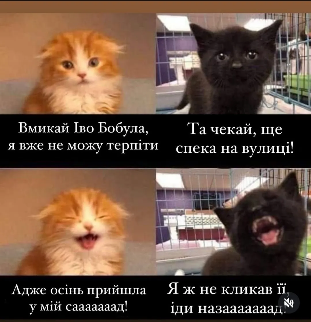 IMG_20240905_212841.webp