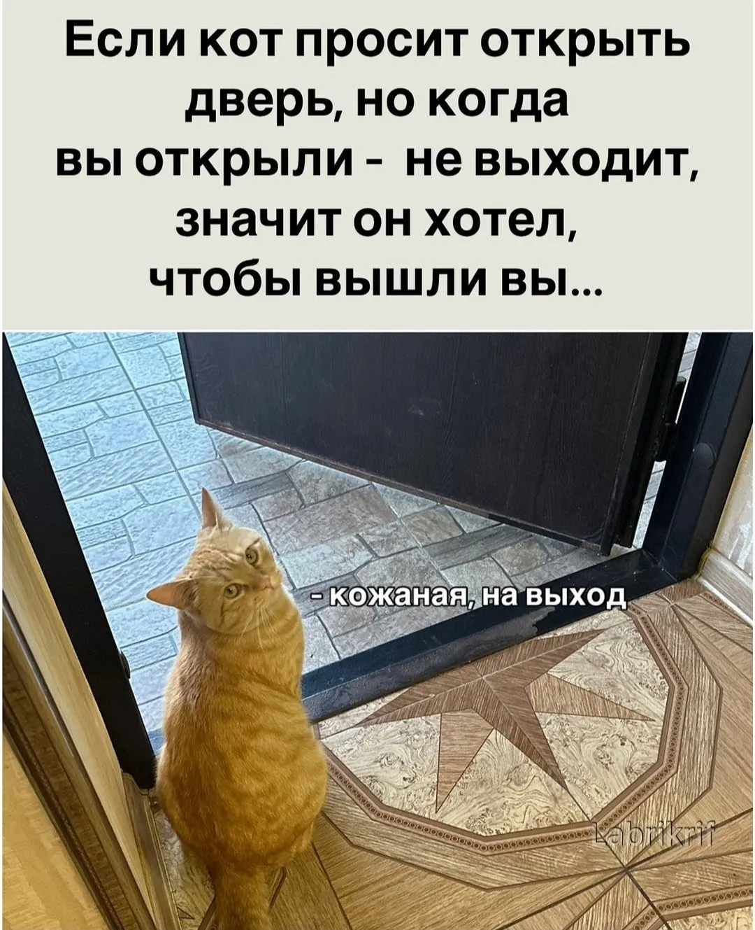 IMG_20240905_220754.webp
