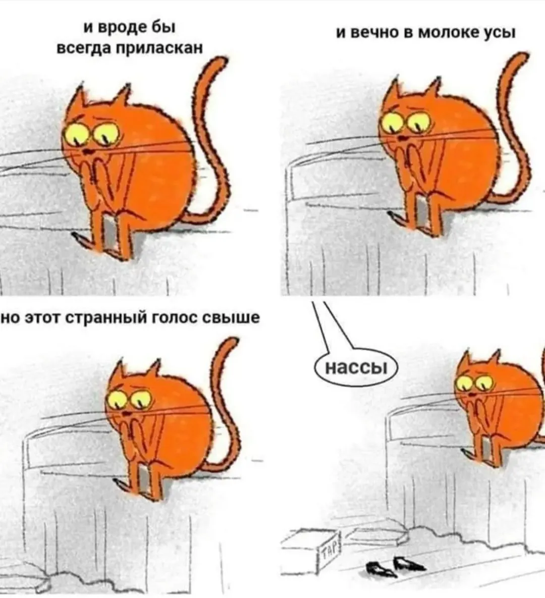 IMG_20240906_064332.webp
