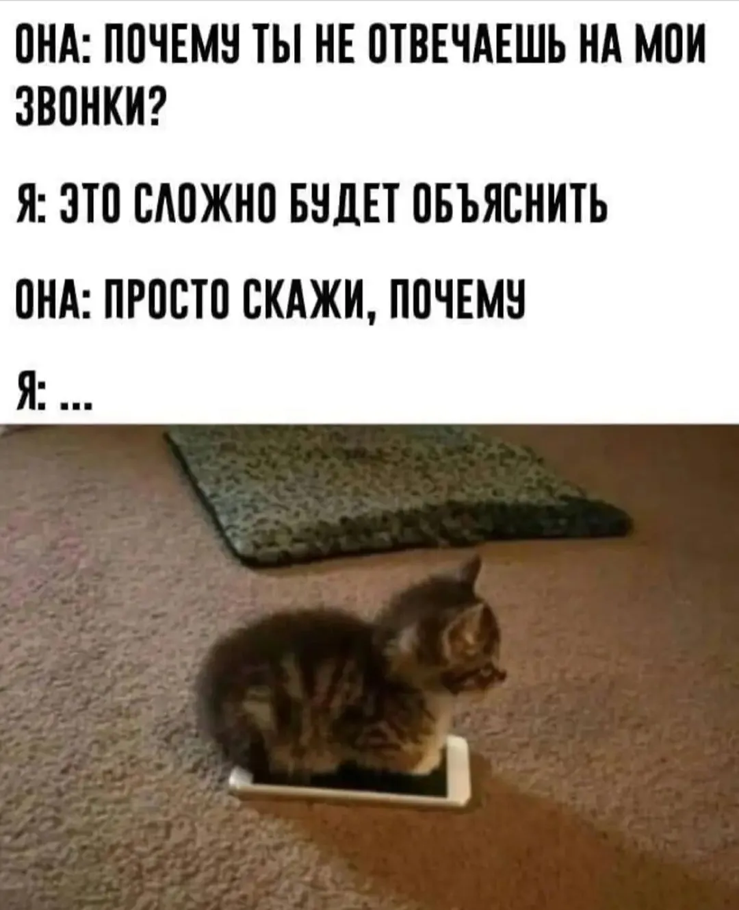 IMG_20240907_122713.webp