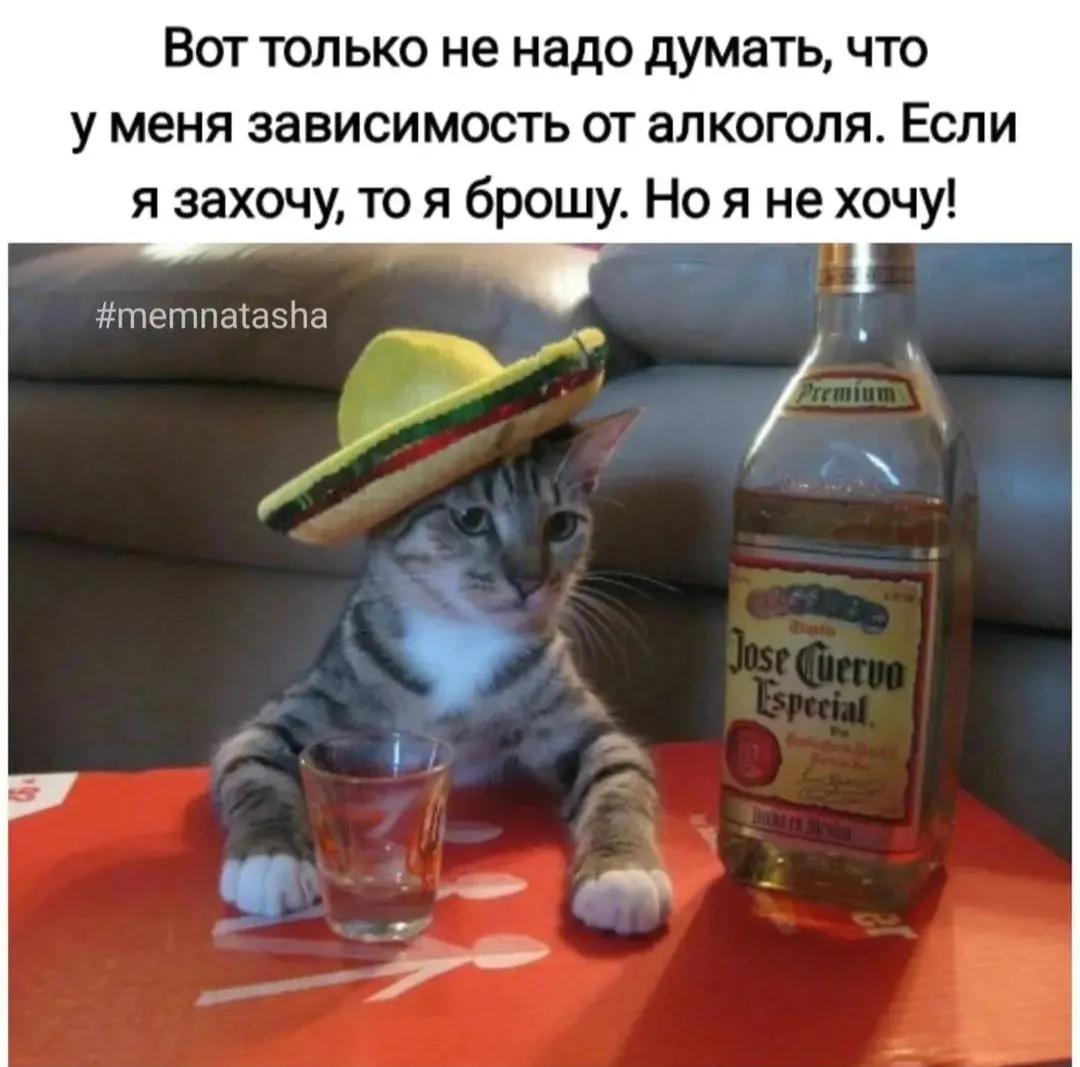 IMG_20240908_111336.webp