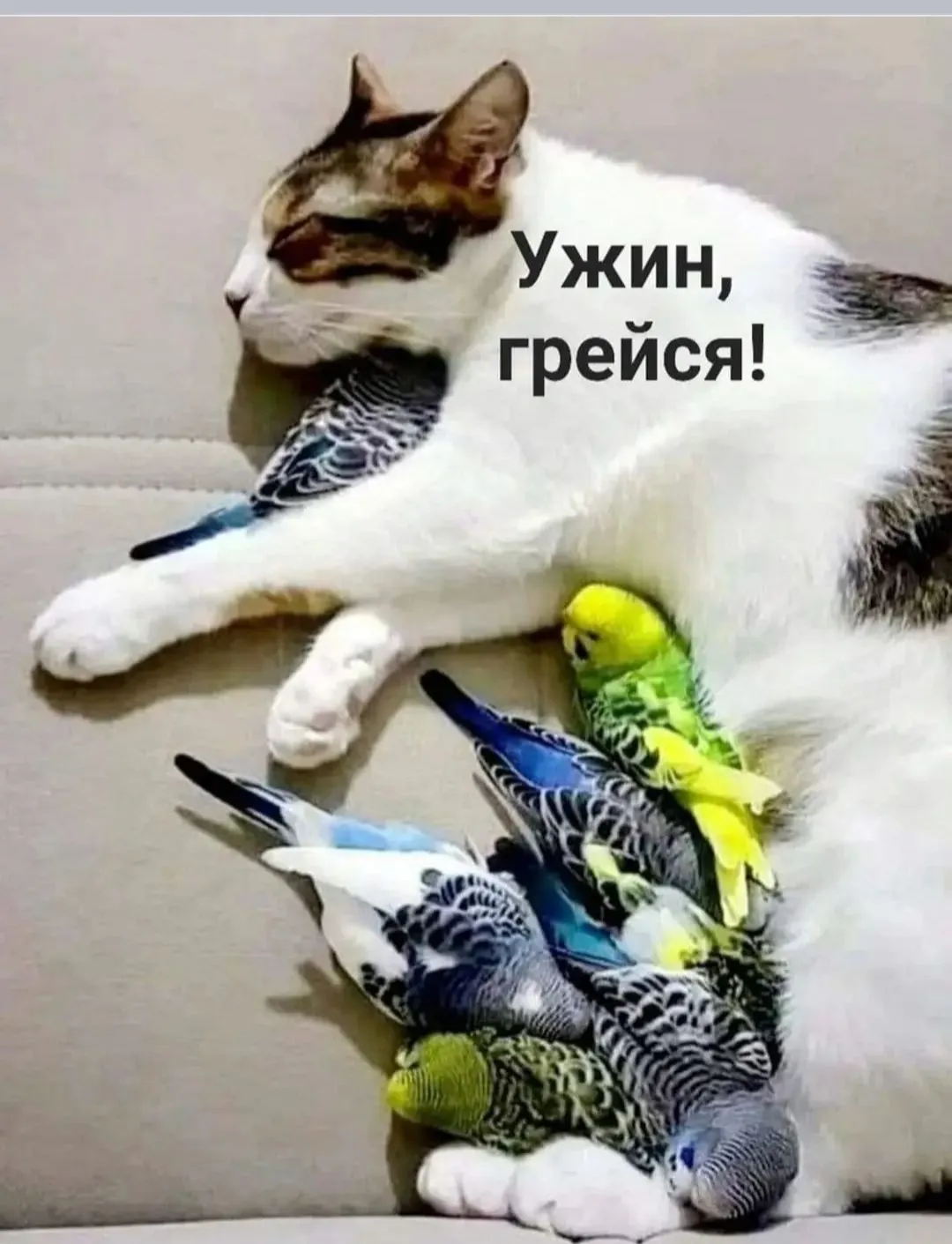 IMG_20240908_111349.webp