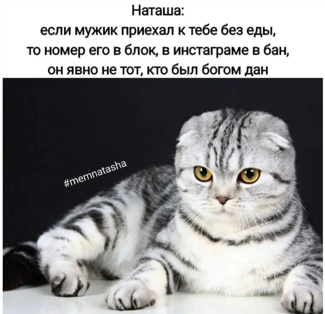 IMG_20240911_202932.webp