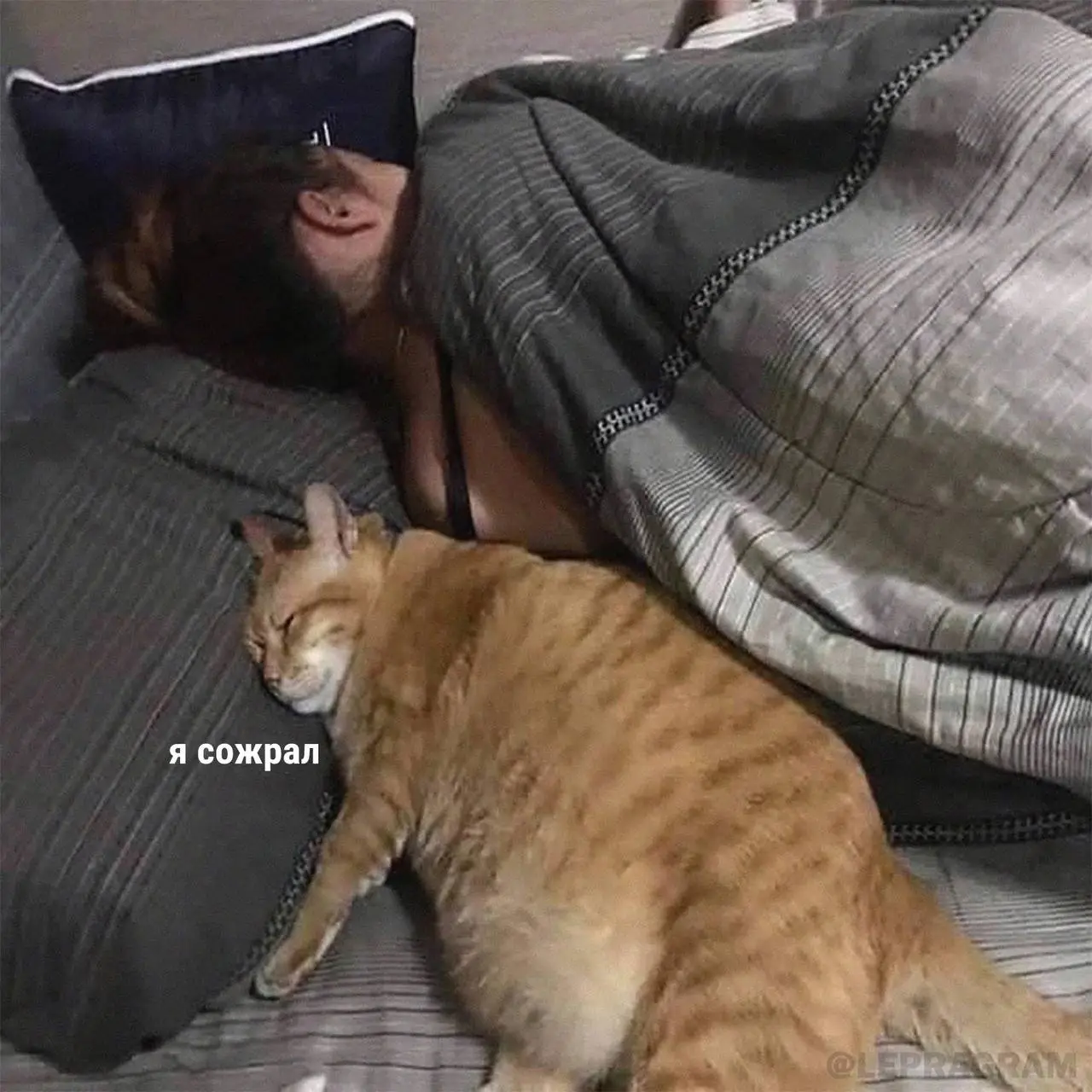 IMG_20240911_215059_945.webp