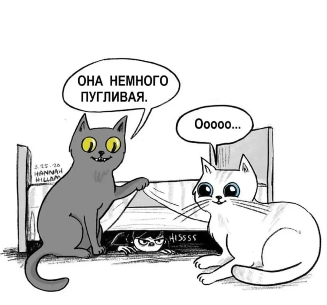 IMG_20240913_074553.webp