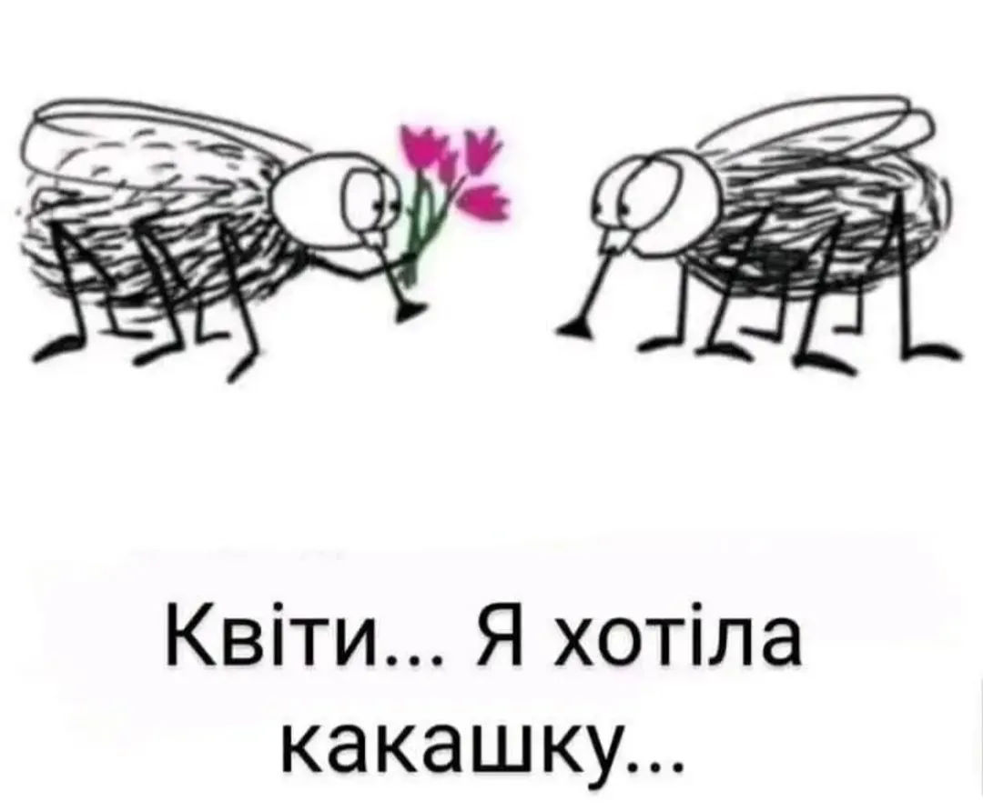 IMG_20240914_075824.webp