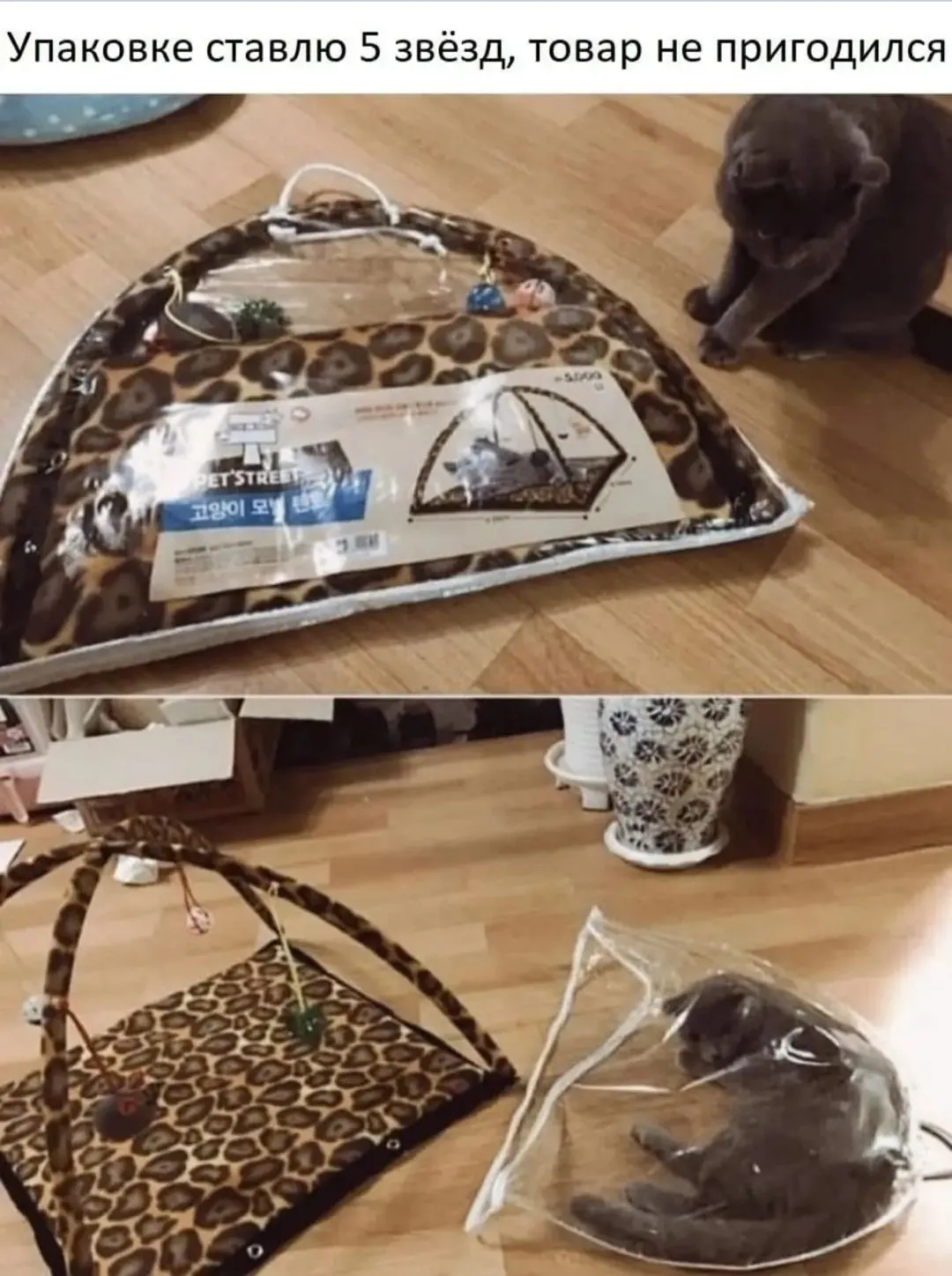 IMG_20240914_105338.webp