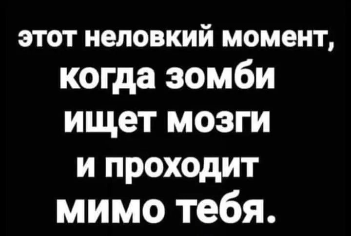 IMG_20240916_135202_766.webp