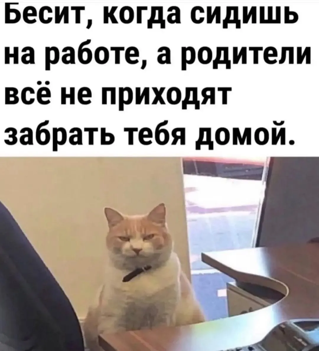 IMG_20240917_141711.webp