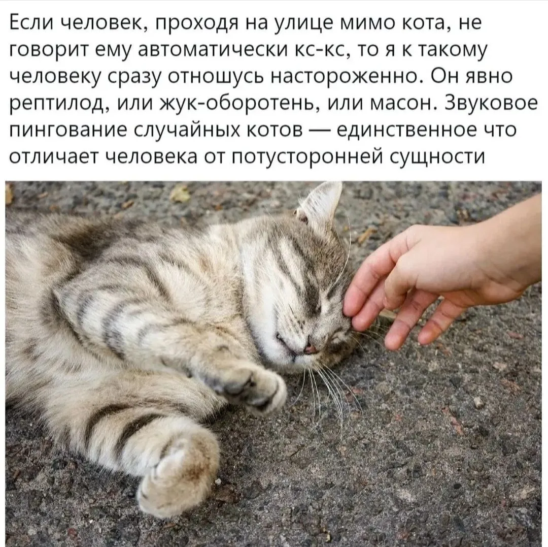 IMG_20240918_094629.webp
