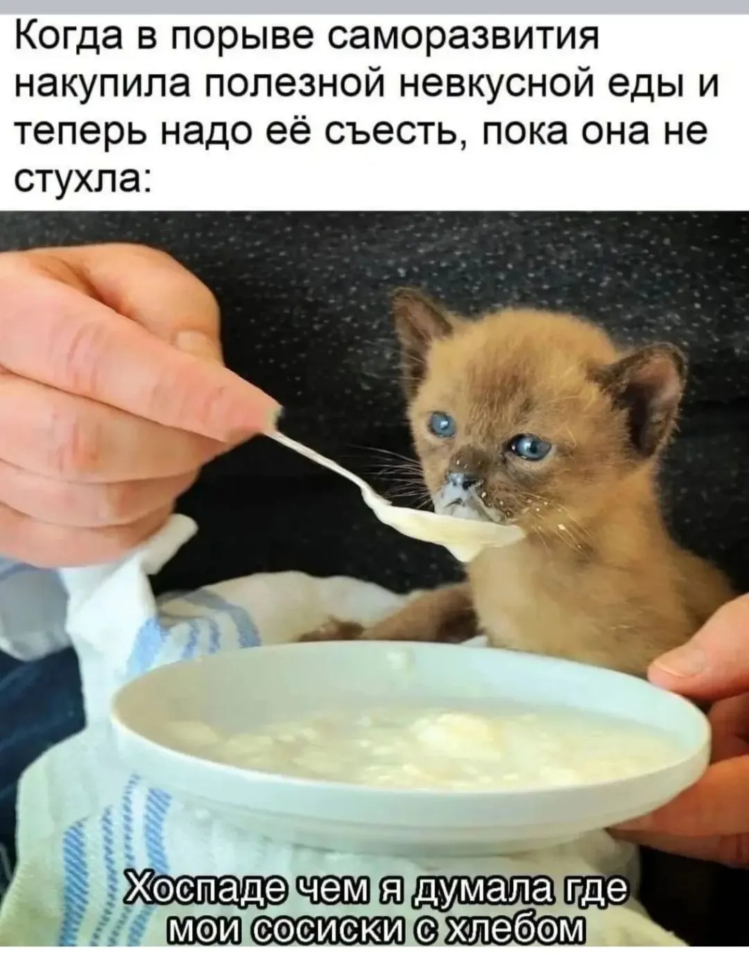 IMG_20240918_094657.webp