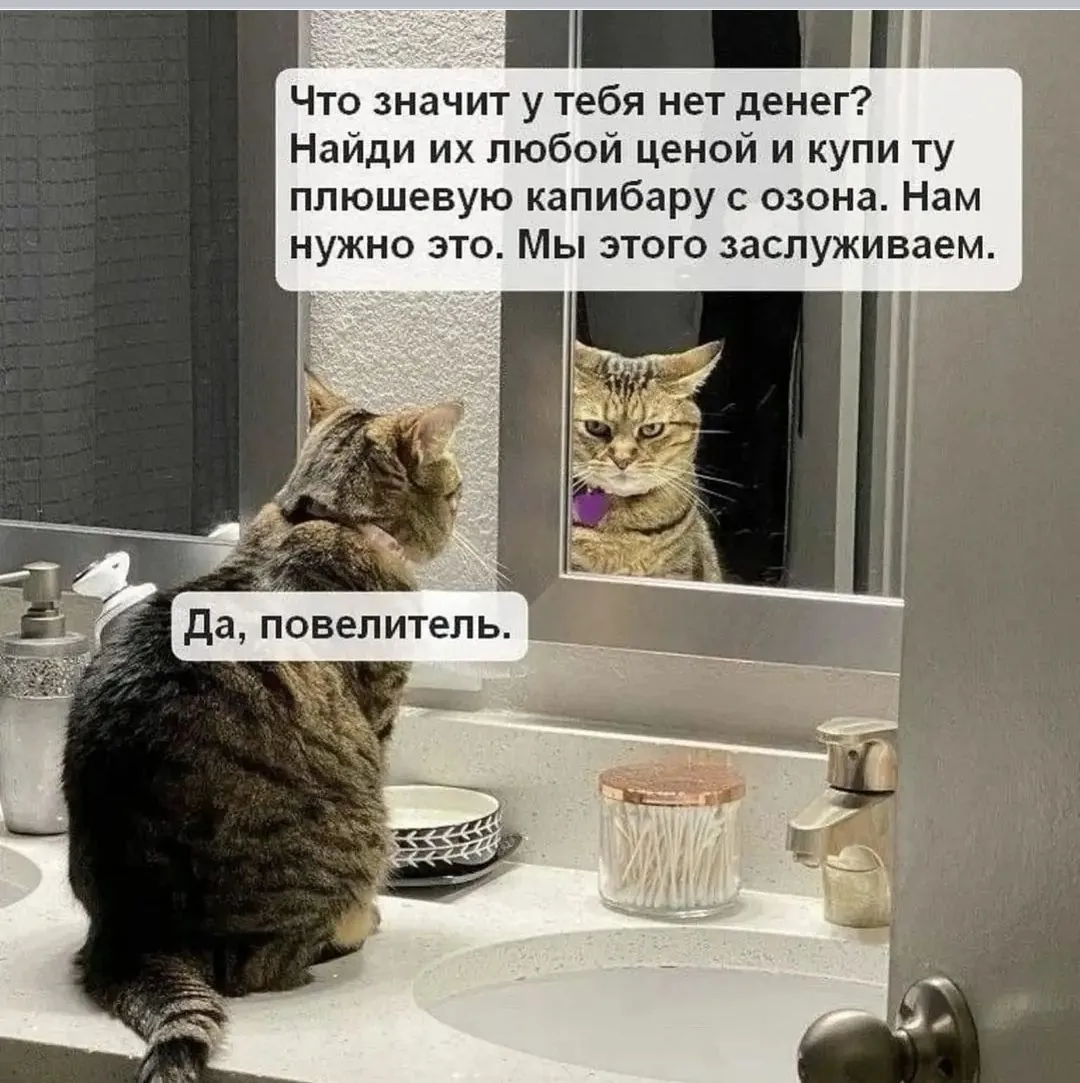 IMG_20240919_104652.webp