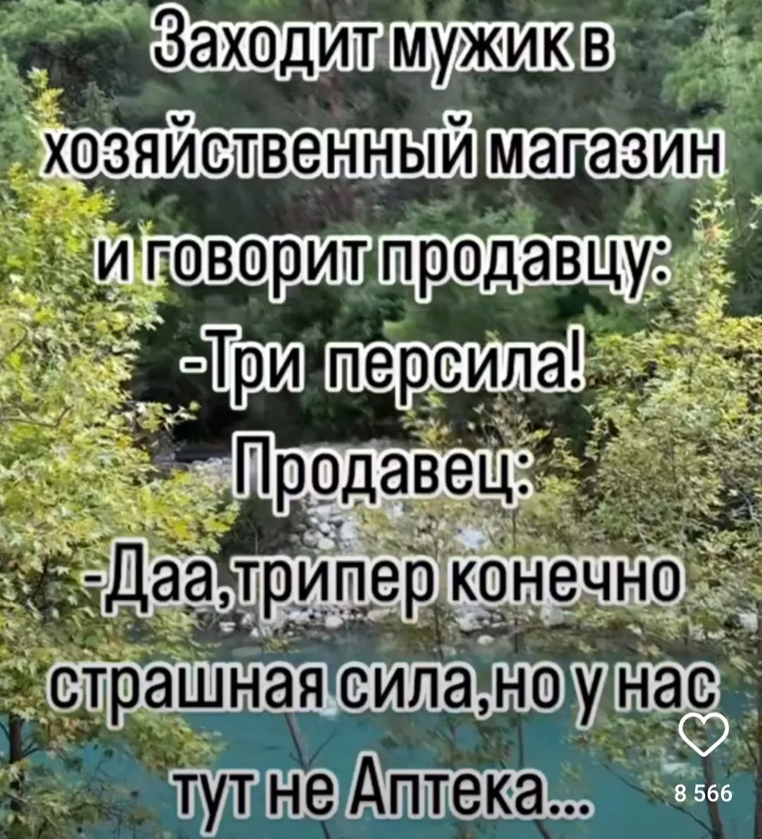 IMG_20240919_132135.webp
