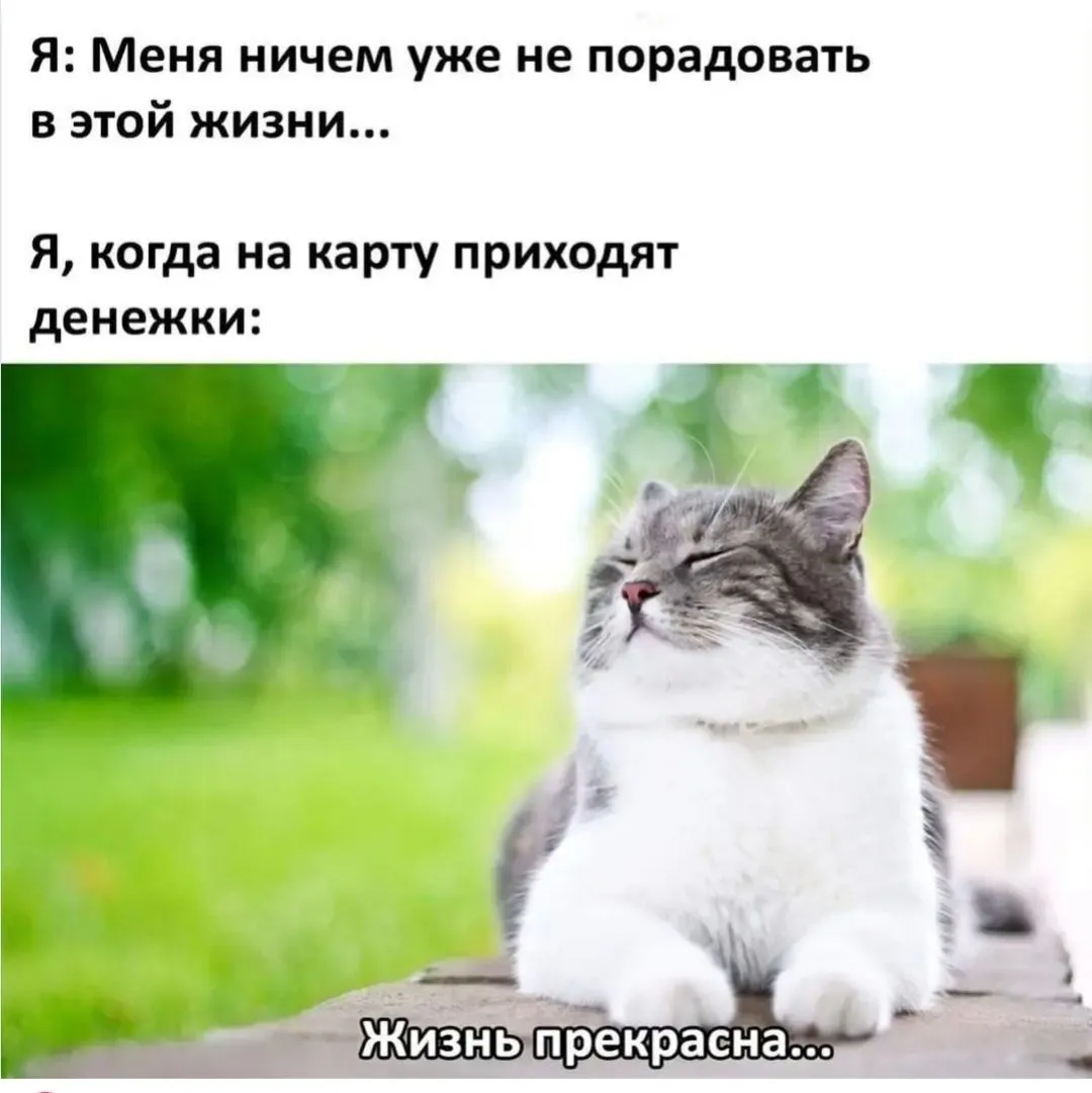 IMG_20240920_091608.webp