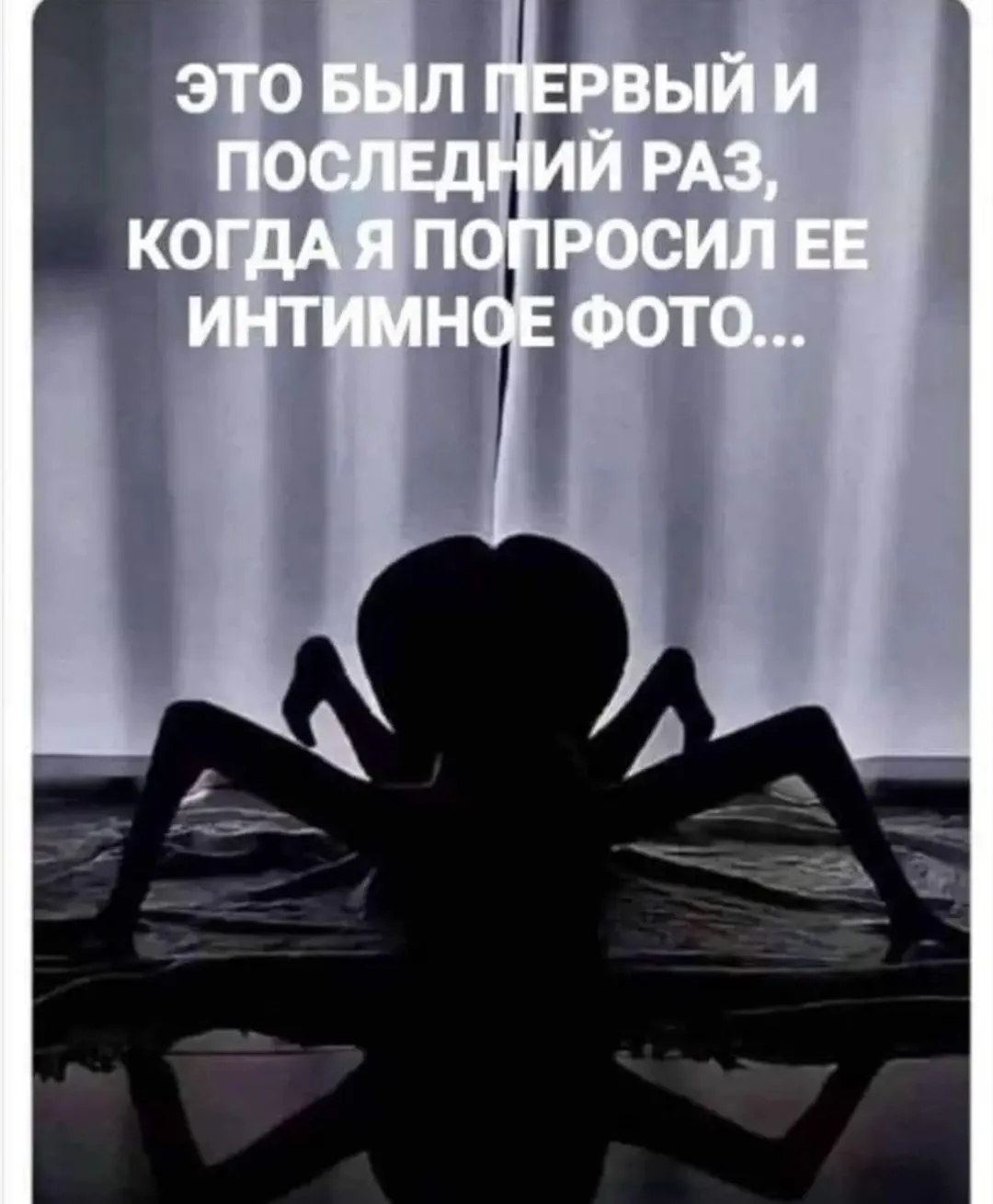 IMG_20240920_113156.webp
