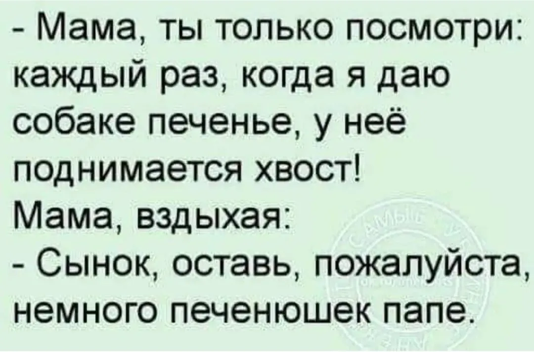 IMG_20240921_120412.webp