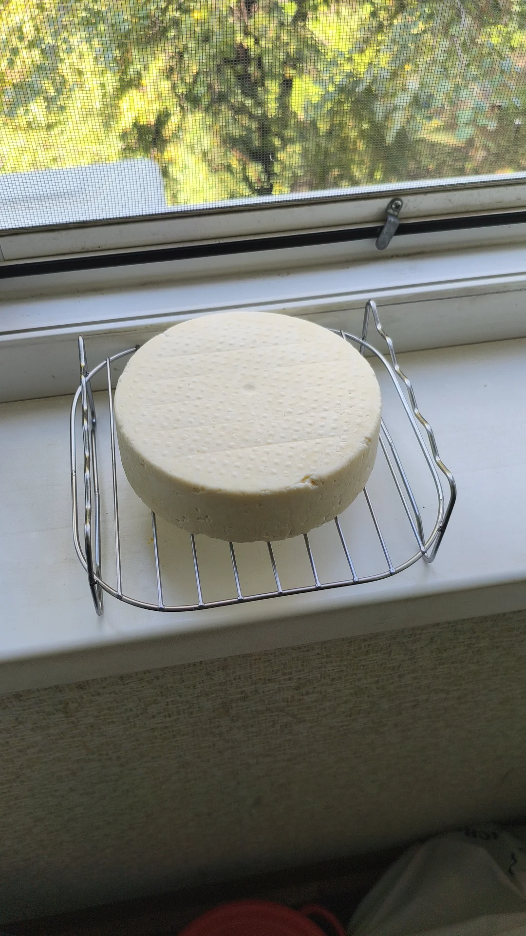 Сир Український в домашніх умовах 