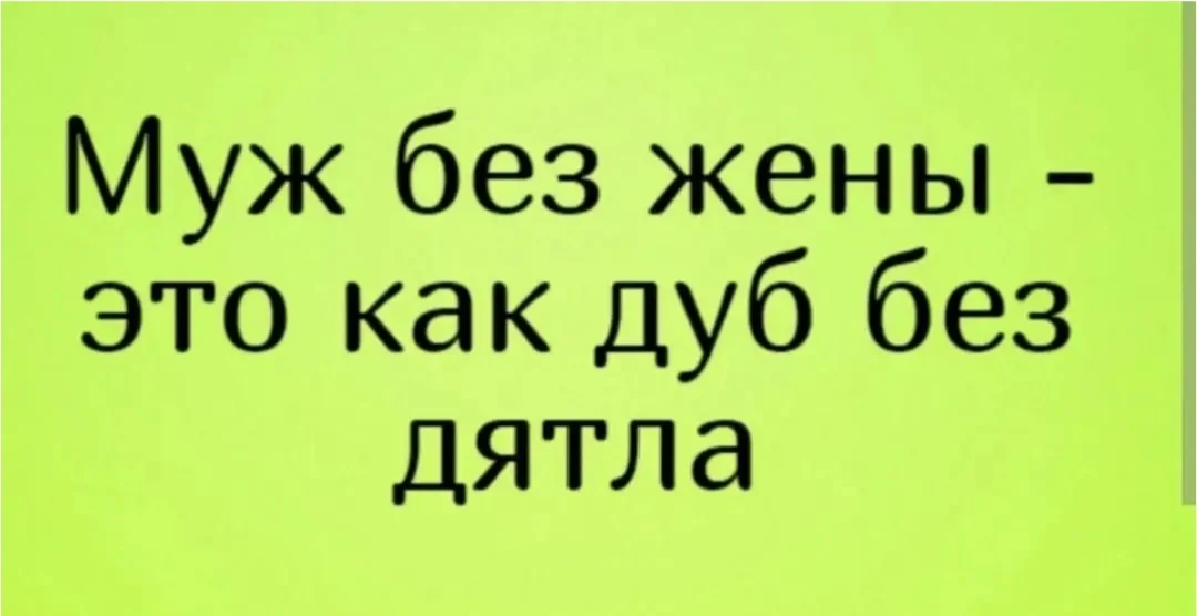 IMG_20260304_153324.webp