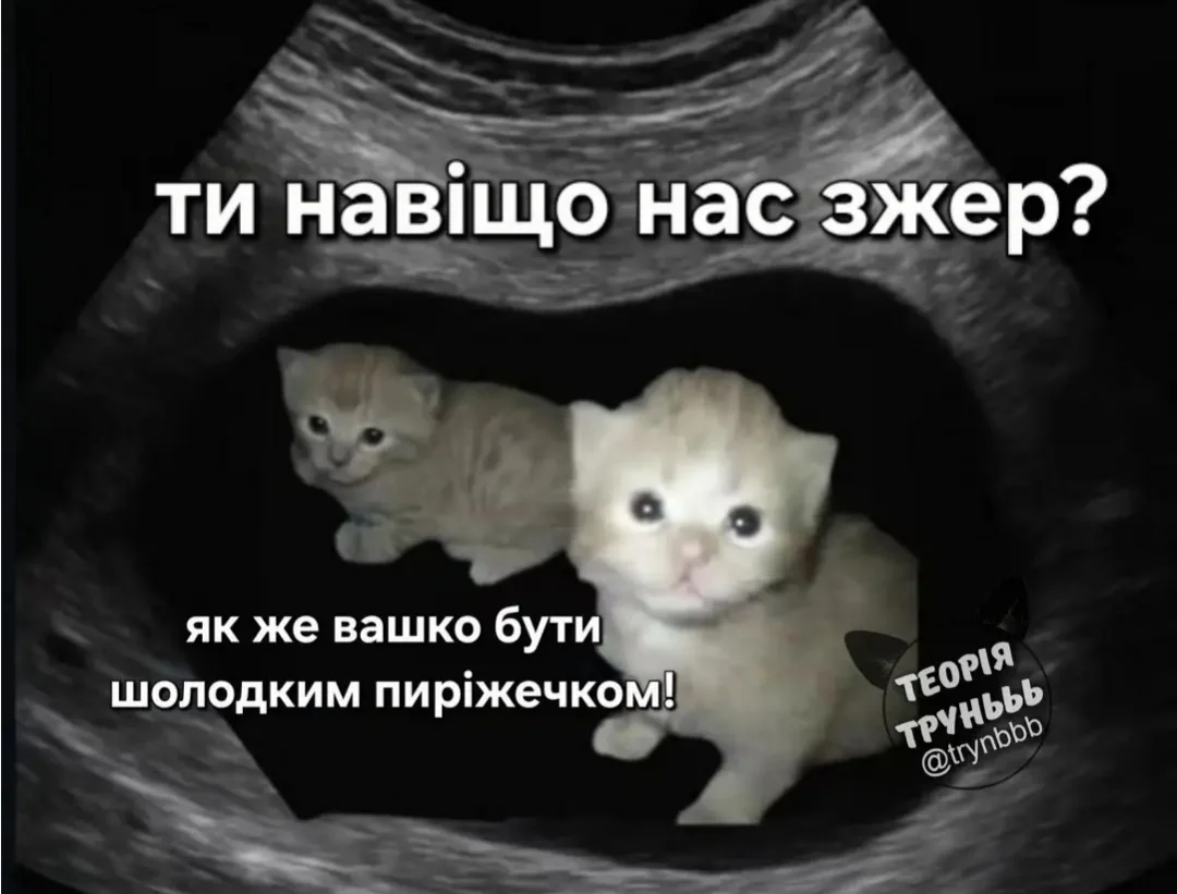 IMG_20260308_214358.webp