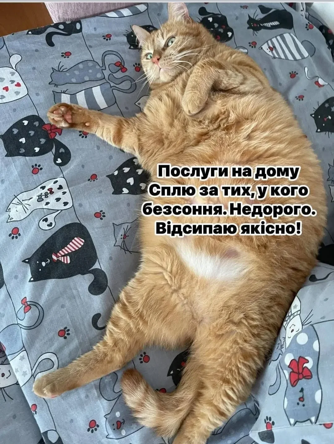 IMG_20260309_161736.webp