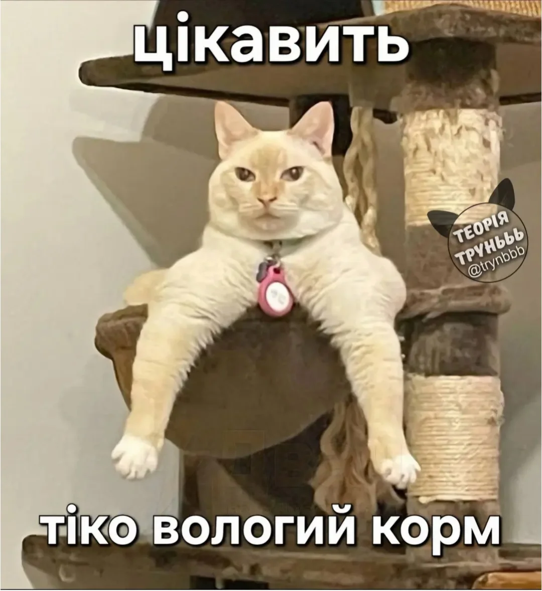 IMG_20260327_073105.webp