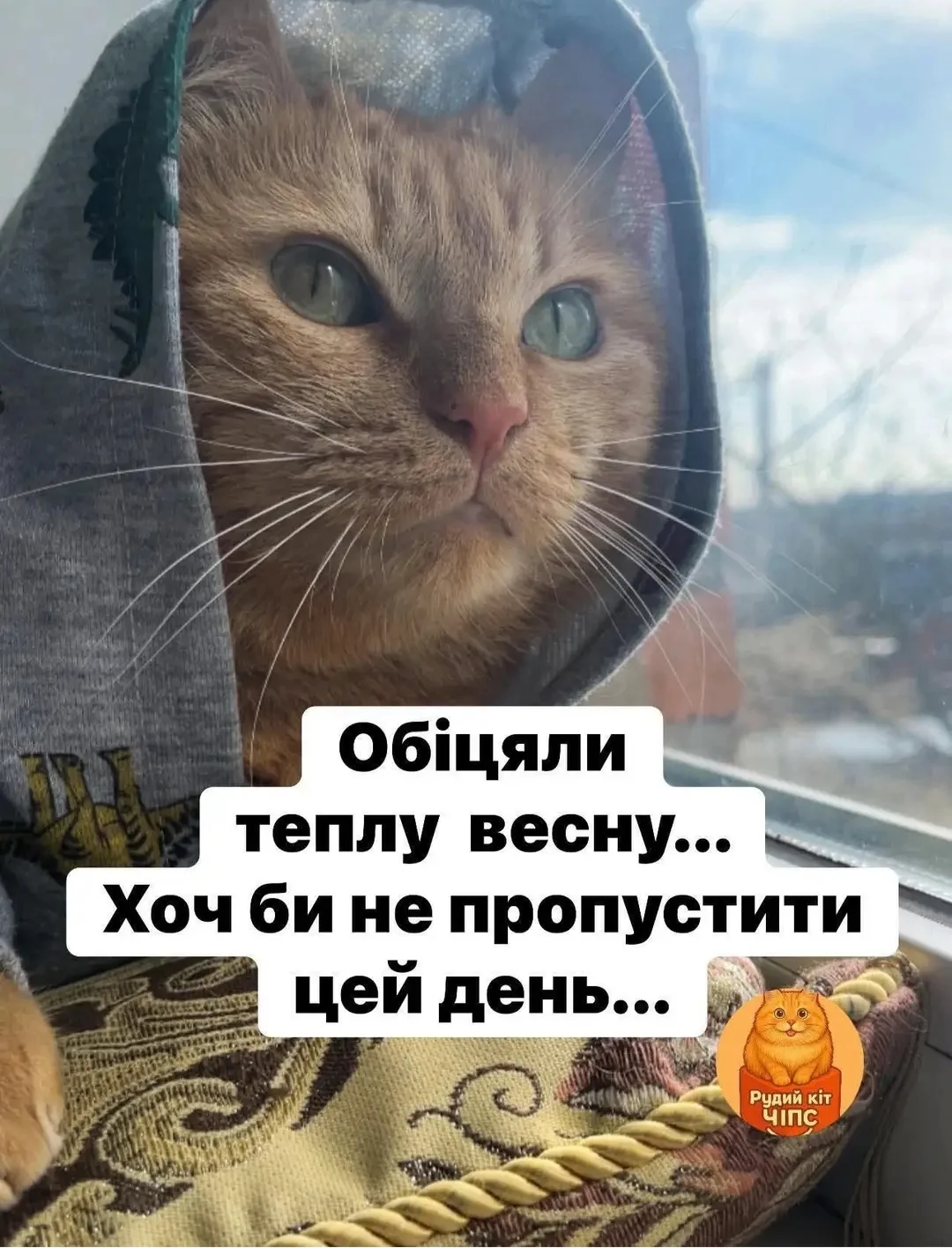 IMG_20260411_063425.webp