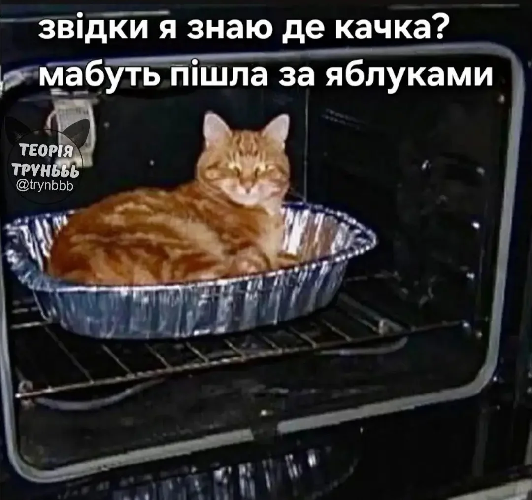 IMG_20260411_221717.webp