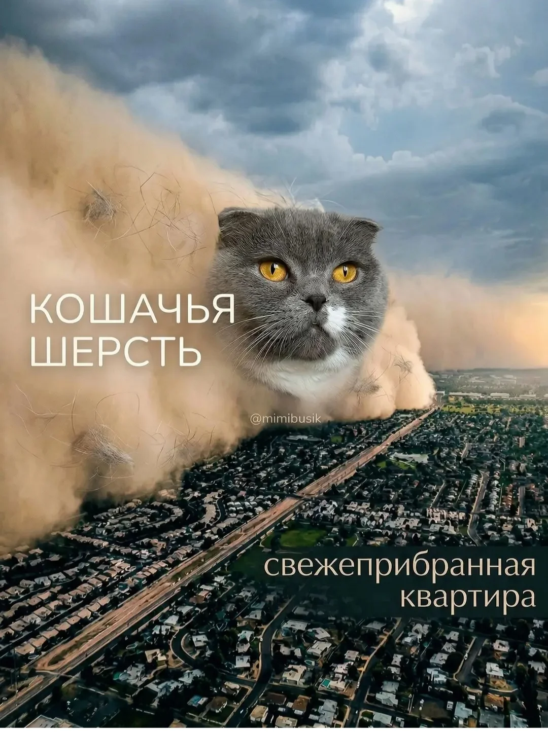 IMG_20260413_092511.webp