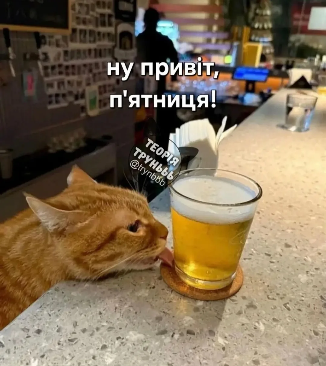 IMG_20260417_121015.webp