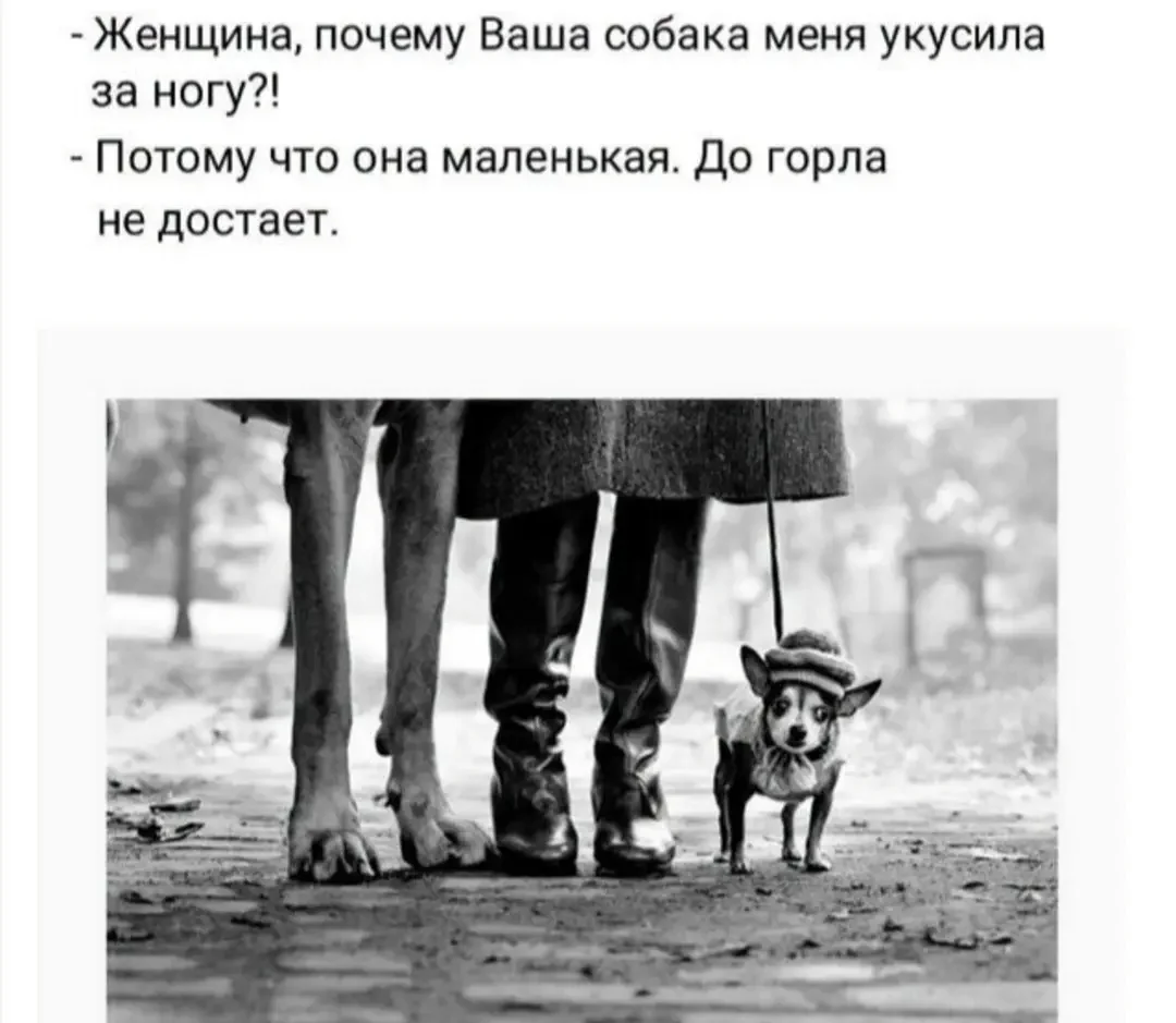 IMG_20260421_081416.webp