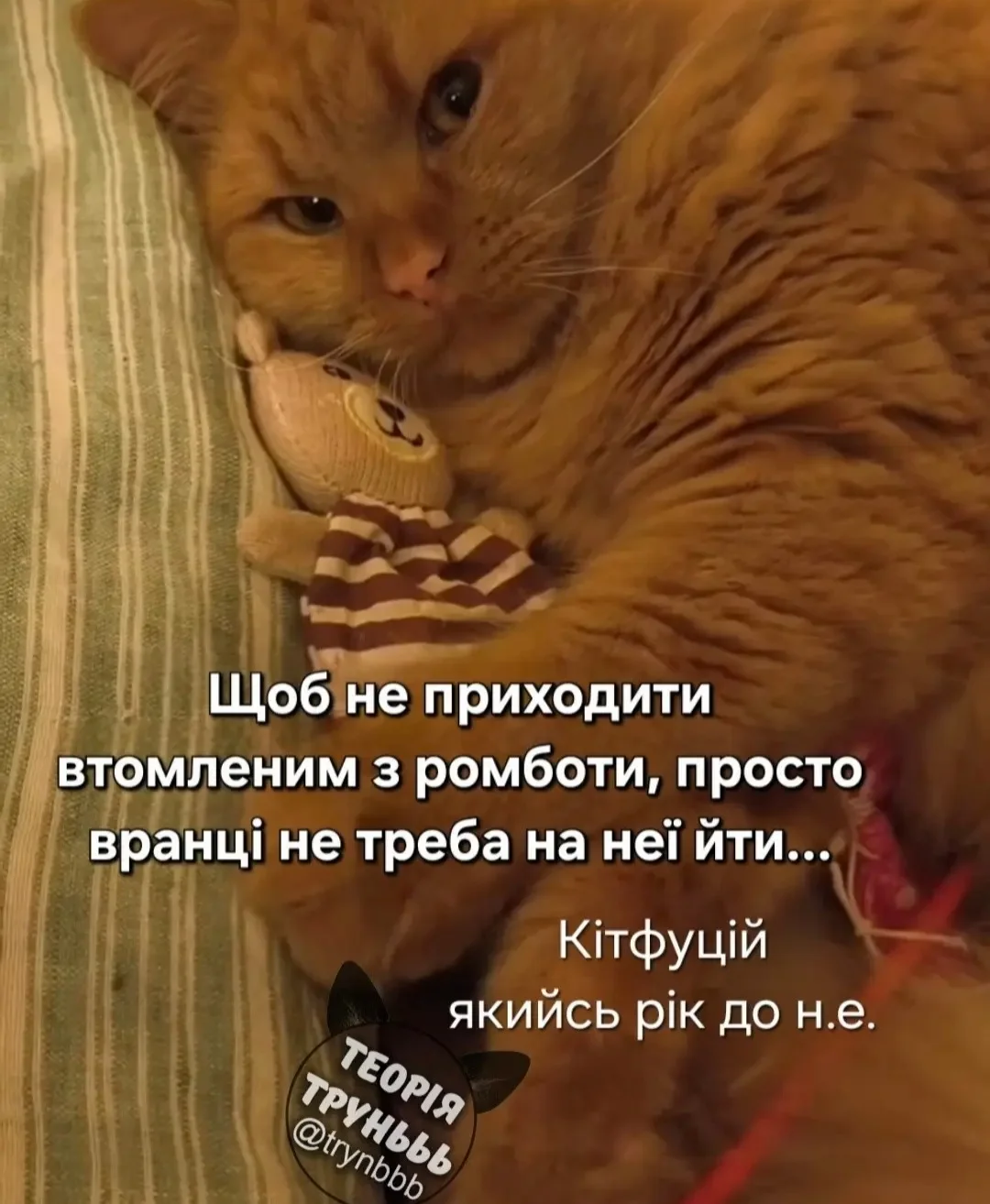 IMG_20260428_220423.webp
