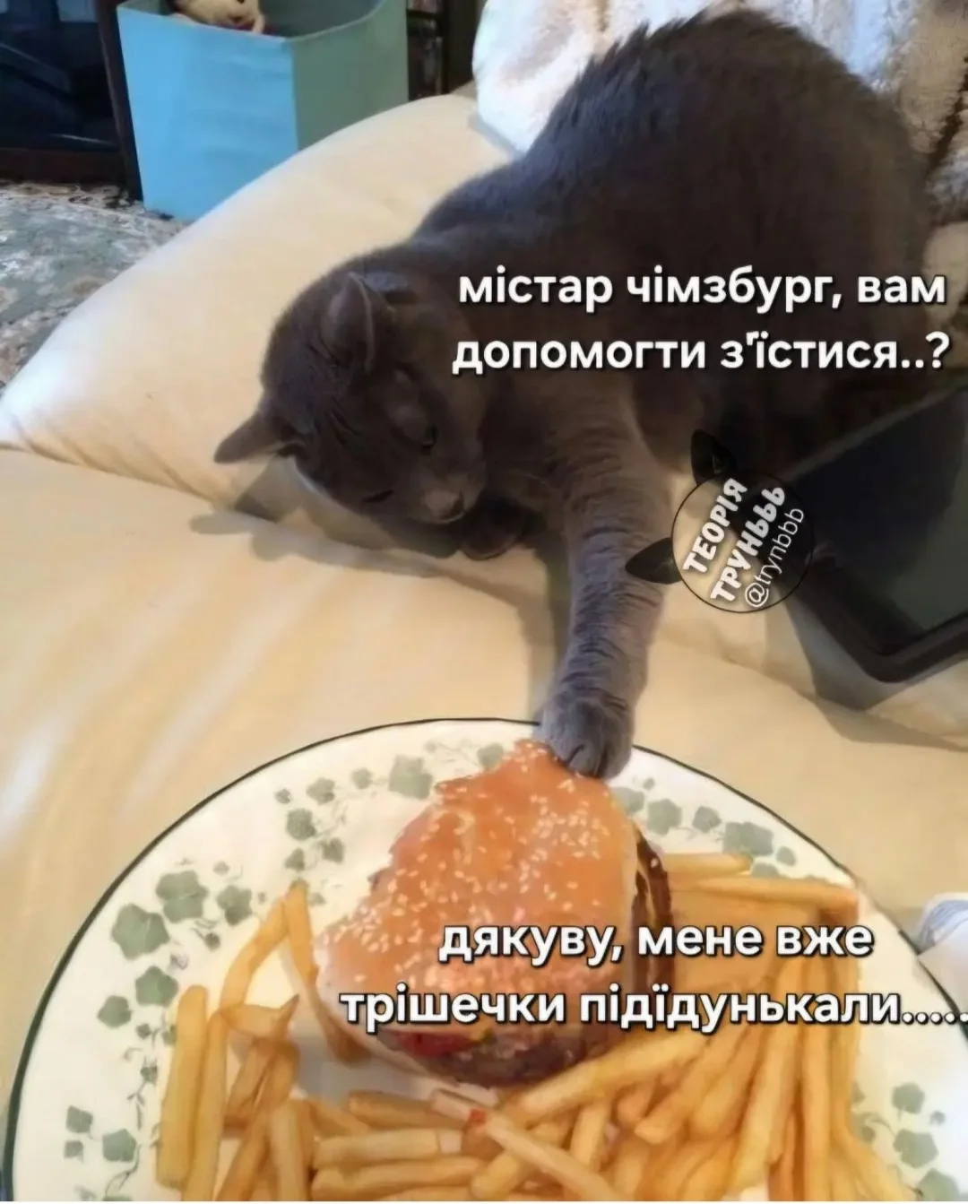 IMG_20260430_081646.webp