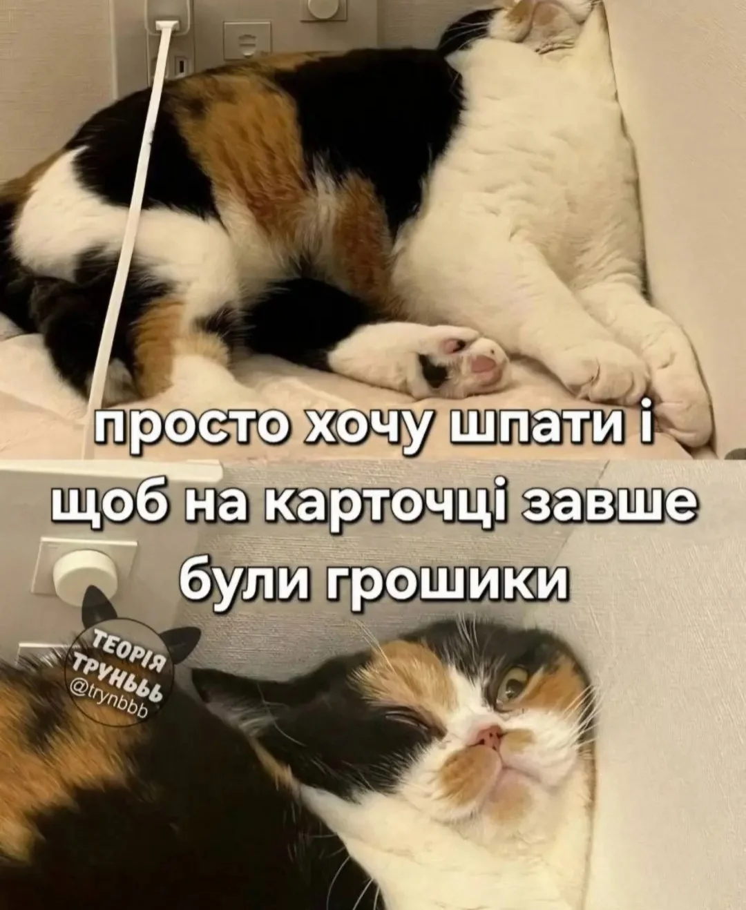 IMG_20260504_104738.webp