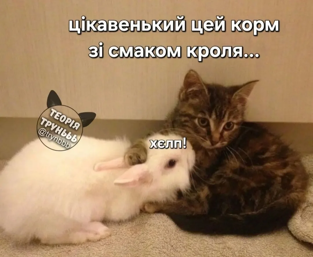 IMG_20260518_153530.webp