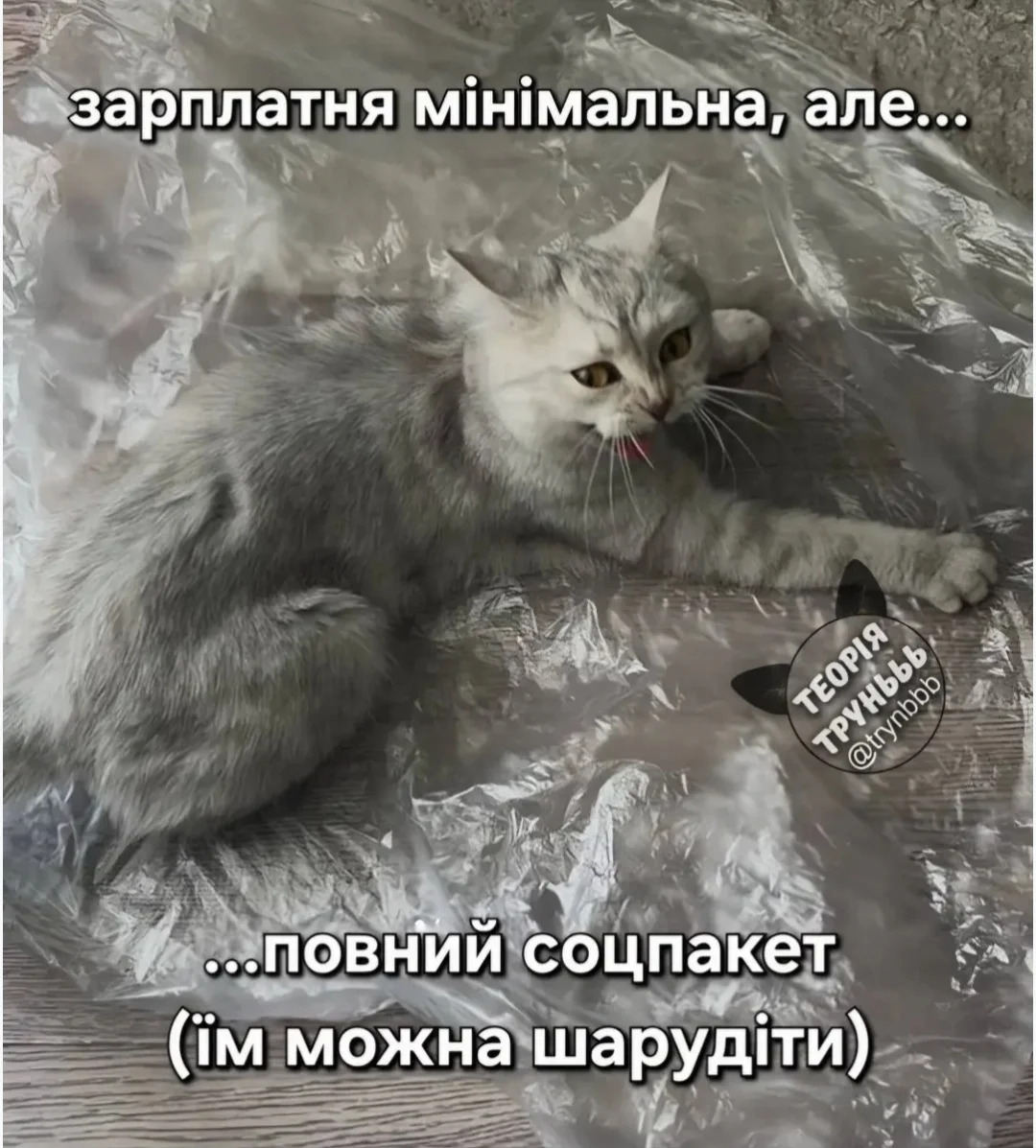 IMG_20260523_153218.webp