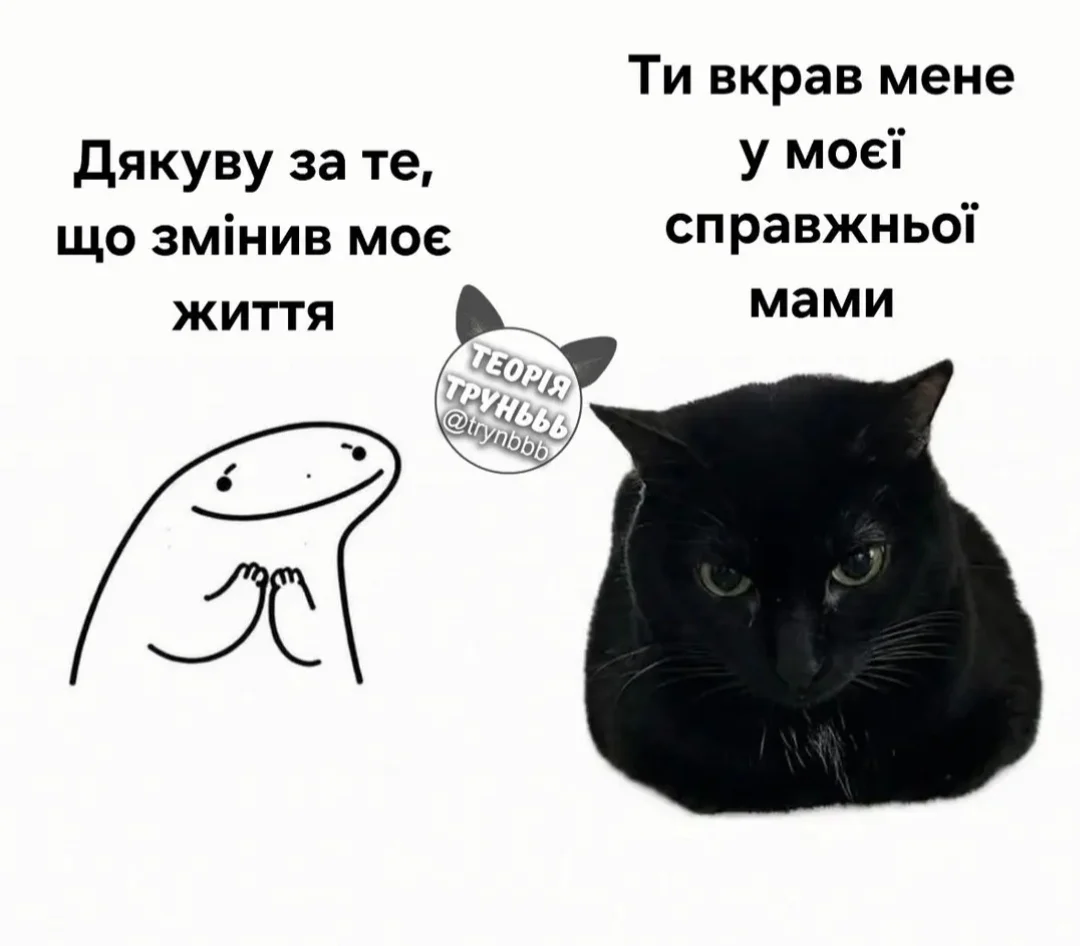IMG_20260526_053906.webp