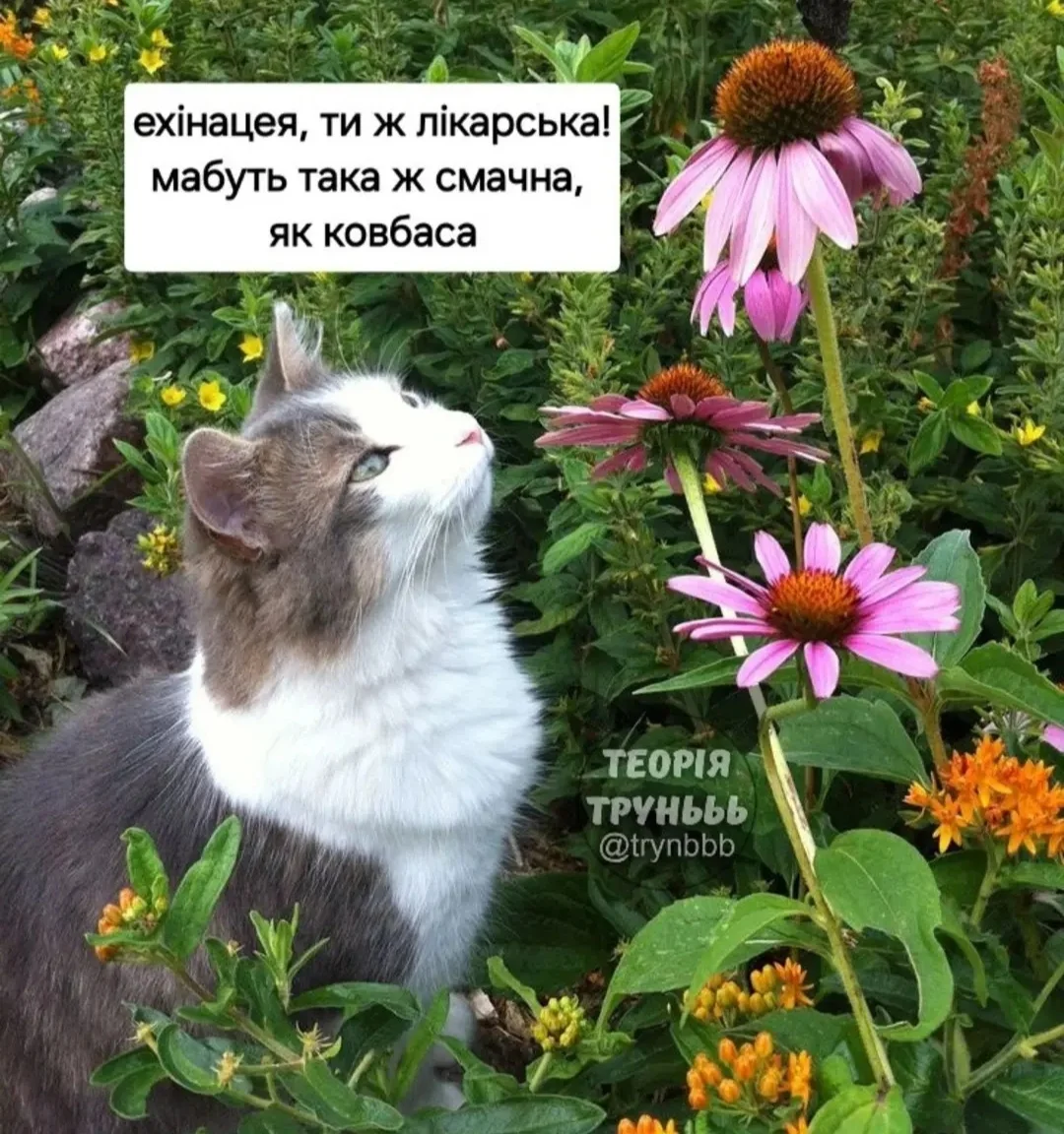 IMG_20260526_101357.webp