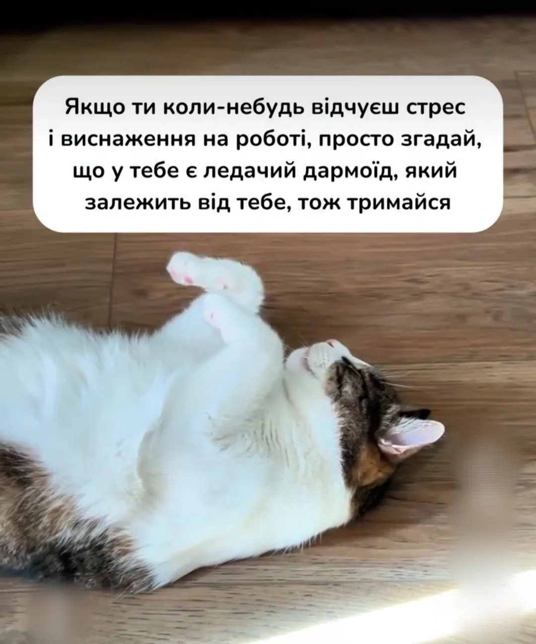 IMG_20260529_161105.webp
