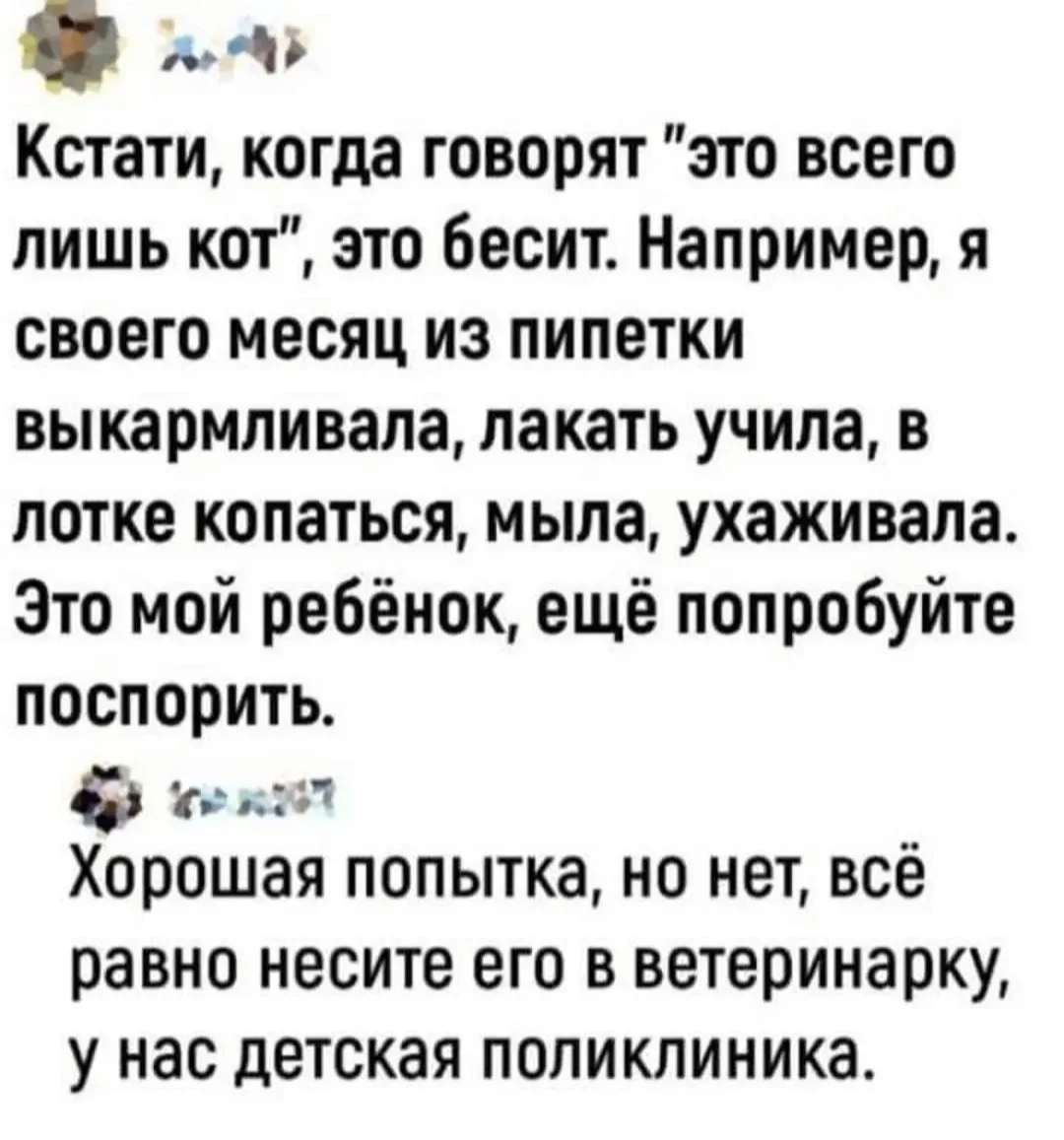 IMG_20260531_200820.webp