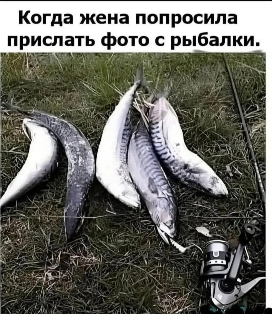 IMG_20260605_062447.webp