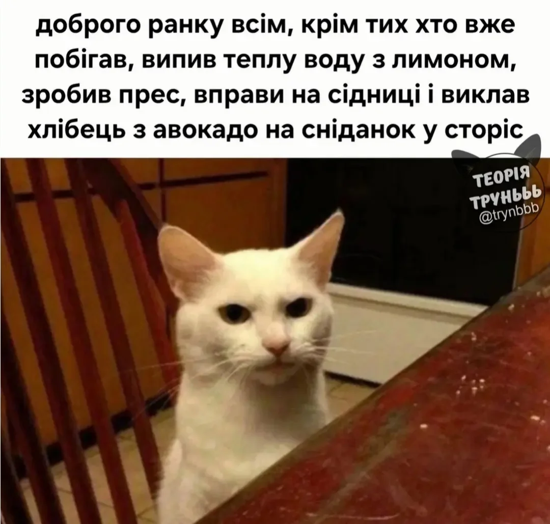 IMG_20260607_171455.webp