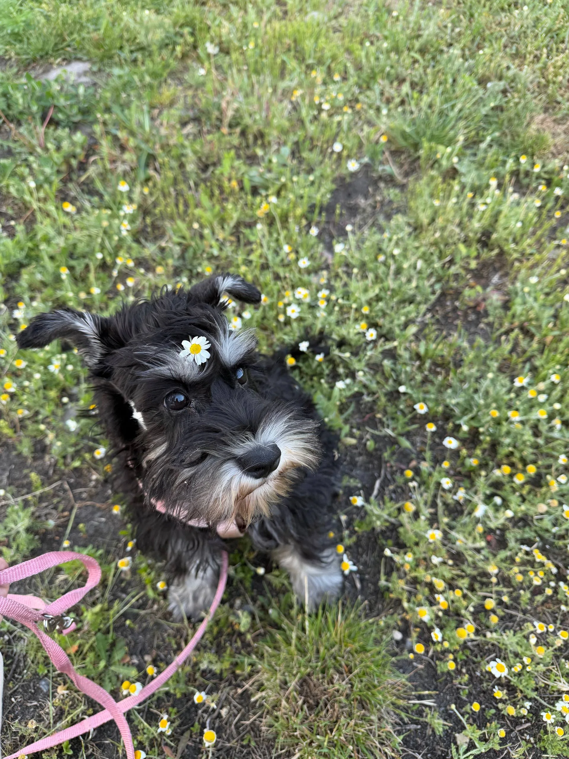 IMG_20260609_135248_978.webp