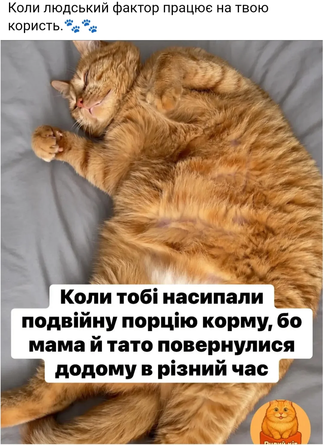 IMG_20260613_070540.webp