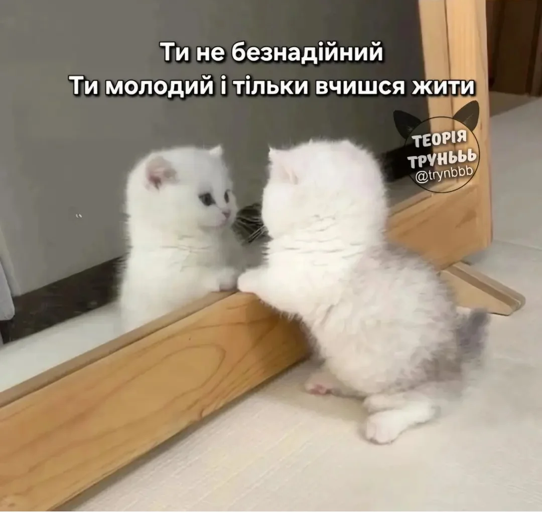 IMG_20260613_201241.webp