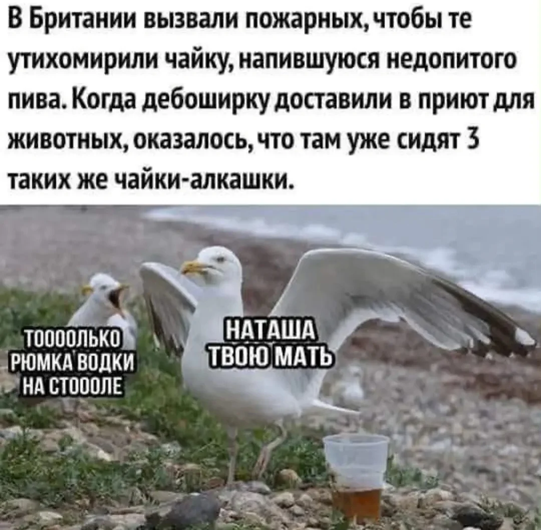 IMG_20260711_151212.webp
