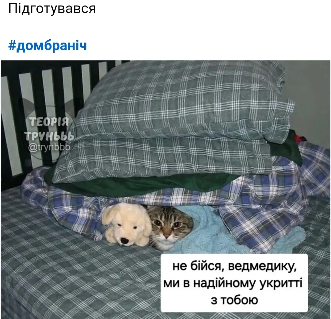 IMG_20260711_212822.webp